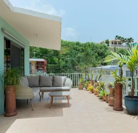 Casa Mia Guest House Rincón Zewnętrze zdjęcie
