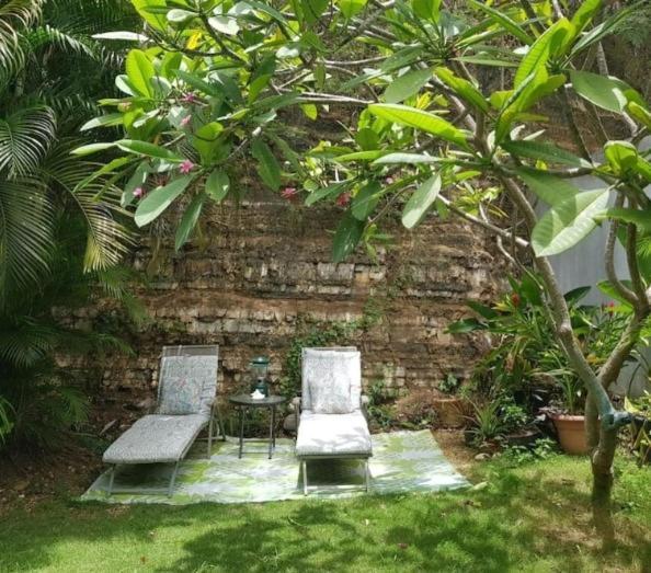 Casa Mia Guest House Rincón Zewnętrze zdjęcie