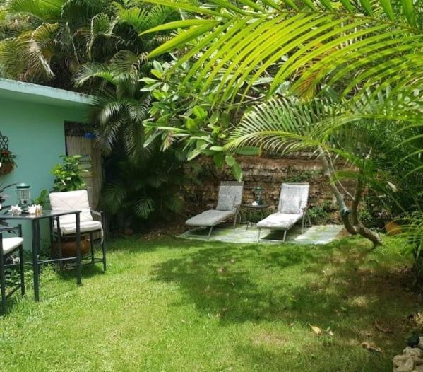 Casa Mia Guest House Rincón Zewnętrze zdjęcie